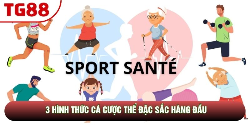 3 hình thức cá cược thể đặc sắc hàng đầu 3 hình thức cá cược thể đặc sắc hàng đầu