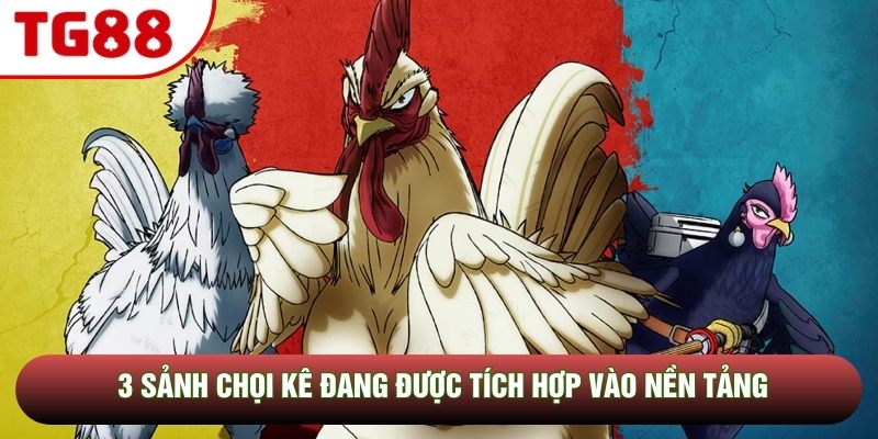 3 sảnh chọi kê đang được tích hợp vào nền tảng