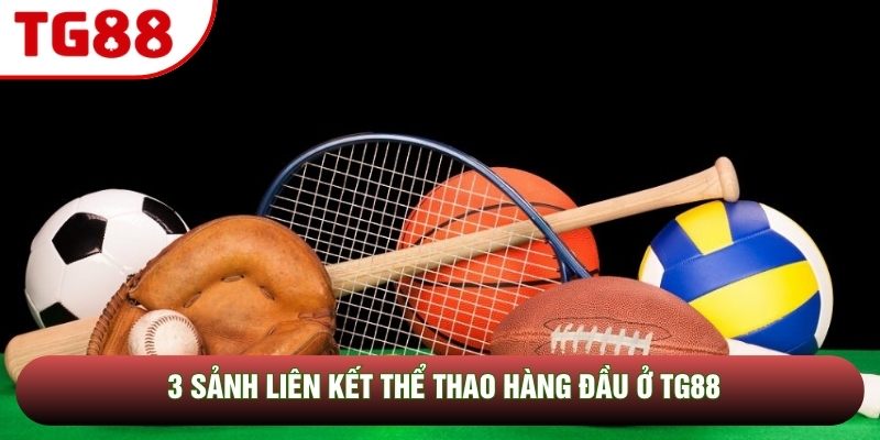 3 sảnh liên kết thể thao hàng đầu ở TG88 3 sảnh liên kết thể thao hàng đầu ở TG88