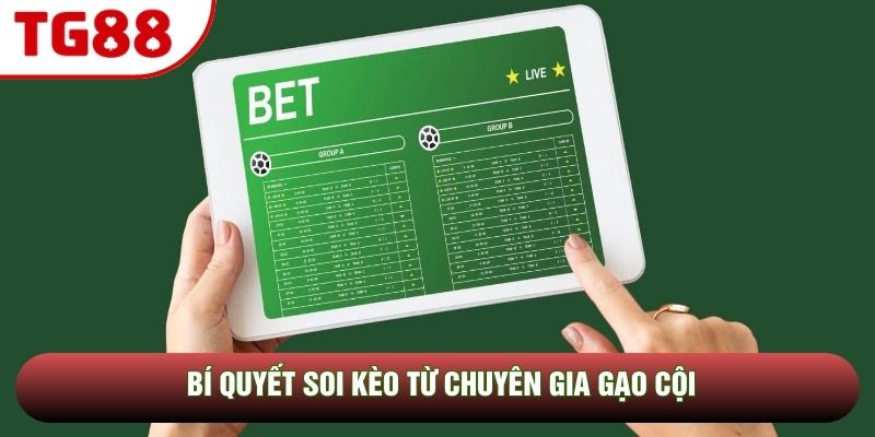 Bí quyết soi kèo từ chuyên gia gạo cội Bí quyết soi kèo từ chuyên gia gạo cội