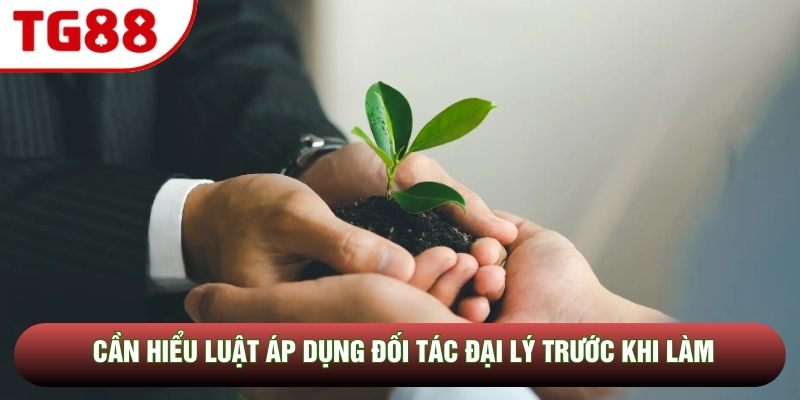Cần hiểu luật áp dụng đối tác đại lý trước khi làm