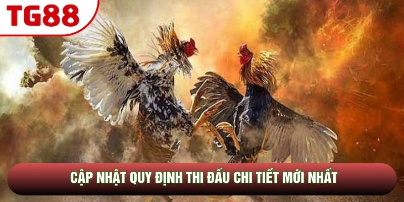 Cập nhật quy định thi đấu chi tiết mới nhất Cập nhật quy định thi đấu chi tiết mới nhất