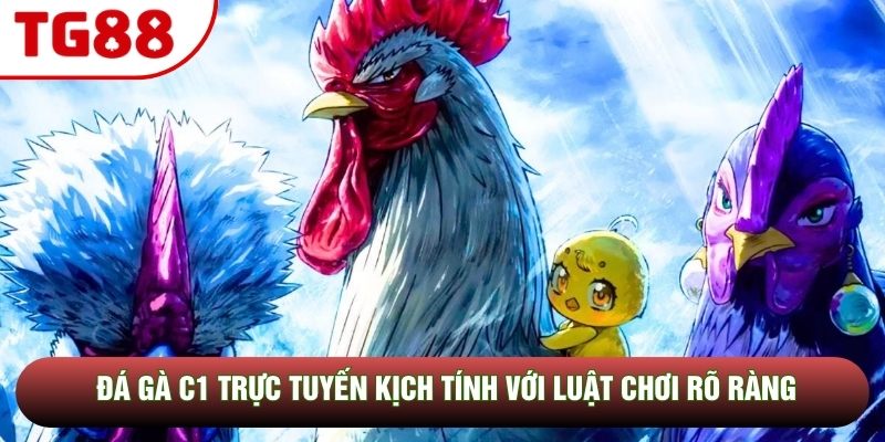 Đá Gà C1 Trực Tuyến Kịch Tính Với Luật Chơi Rõ Ràng