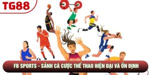 FB Sports - Sảnh Cá Cược Thể Thao Hiện Đại Và Ổn Định 2026