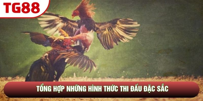 Tổng hợp những hình thức thi đấu đặc sắc